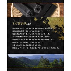 オガ炭 国産 30kg (10kg×3箱) 炭...の詳細画像3