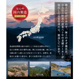 オガ炭 国産 30kg (10kg×3箱) 炭...の詳細画像4