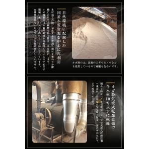 オガ炭 国産 30kg (10kg×3箱) 炭...の詳細画像5