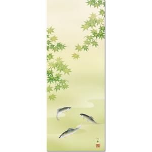 掛軸 夏掛 掛け軸-楓に鮎/長江桂舟(尺三)床...の詳細画像2
