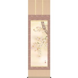 掛軸 掛け軸-桜花/緒方葉水 花鳥掛軸送料無料(尺五 桐箱 本表装)春用掛け軸 床の間 和室 飾る お洒落 モダン 表装幅54.5×高さ190cm｜honakote