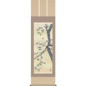 掛軸 掛け軸-桜花に小鳥/長江桂舟 花鳥掛軸送料無料(尺五)春用掛け軸 床の間 和室 飾る お洒落 モダン 表装｜honakote