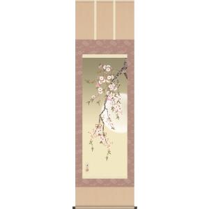 掛け軸 掛軸-夜桜/伊藤 渓山[尺三 化粧箱 風鎮 和室 床の間 花鳥画 かけじく モダン インテリア 壁掛け 安い 贈物 ギフト 日常 年中 飾る]幅44.5×高さ164cm｜honakote