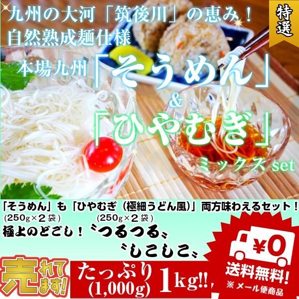 そうめん　ひやむぎ　冷麦　素麺　お取り寄せ　九州熟成そうめん250g×2袋　&amp;　九州熟成ひやむぎ25...
