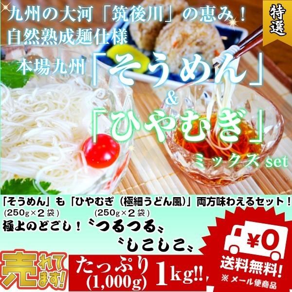 そうめん　ひやむぎ　冷麦　素麺　お取り寄せ　九州熟成そうめん250g×2袋　&amp;　九州熟成ひやむぎ25...