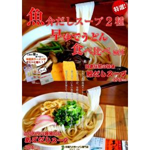 うどん　お取り寄せ　九州熟成うどん 6人前セット　極上かつおだしスープ　＆　長崎あごだしスープ　2種　食べ比べ　平打ち饂飩　お試しグルメギフト｜honba-kyusyu