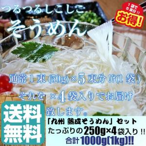 そうめん　素麺　お取り寄せ　熟成そうめん250g×4袋セット　たっぷり1キロ入り　つるつる食感　人気涼麺　お好みのめんつゆで　お試しグルメギフト｜honba-kyusyu