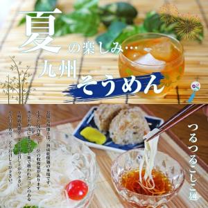 島原手延べそうめん 島原素麺 涼風の絲（すずかぜのいと） C-15 【_