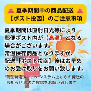 辛子高菜 本場九州産 からし高菜 油炒め 90...の詳細画像2