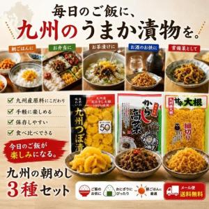白ご飯に最高 漬け物 3種セット 博多名物から...の詳細画像5