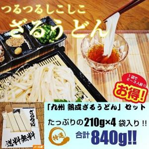 ざるうどん　お取り寄せ　九州ざる饂飩　210g×4袋　たっぷり　約8人前 セット 平打ち麺　つるつるモチモチ食感　熟成うどん麺　お試しグルメギフト｜honba-kyusyu