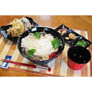 ざるうどん お取り寄せ 九州ざる饂飩 210g...の詳細画像2