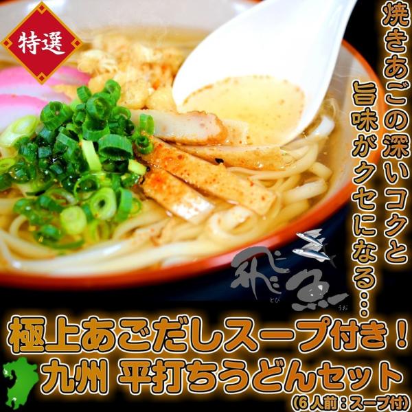 九州本格派　熟成うどん　平打ち麺　特製あごだし　＆　濃厚かつおだし　選べるスープ付（ラーメン共通）　...