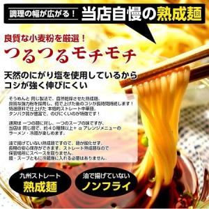 ポイント消化 500円 冷つけ麺 2人前セット...の詳細画像1