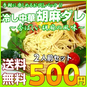 ポイント消化　500円　冷やし中華　胡麻だれ　2人前セット　さっぱり醤油ベース　ごま風味スープ　冷し中華　冷麺　メール便商品　お試しグルメギフト