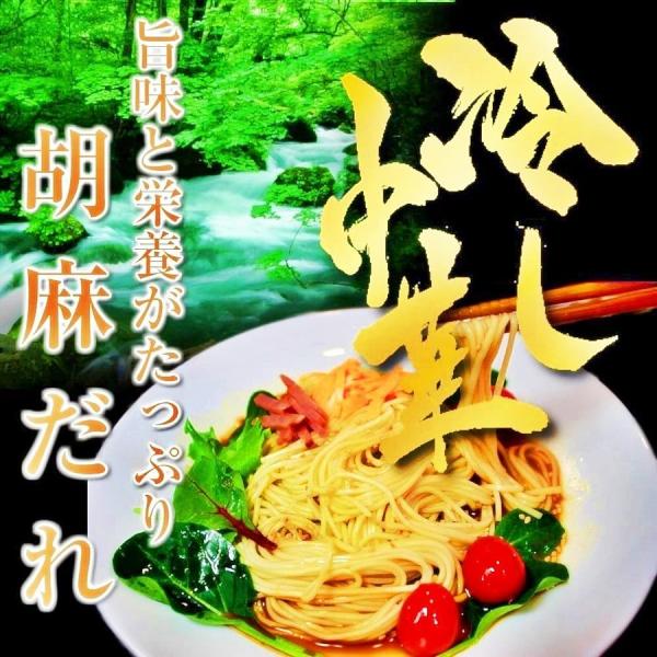 冷やし中華　胡麻だれスープ　さっぱり醤油ベース　ごま風味　冷し中華　2人前＋替玉麺2食付き　お取り寄...