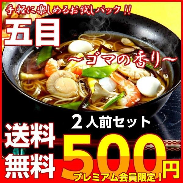 ポイント消化　会員価格500円　あんかけ五目味ラーメン　2人前セット　専用とろみ粉付　胡麻風味　餡か...