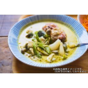 タイ風グリーンカレー & バターチキンカレー ...の詳細画像5
