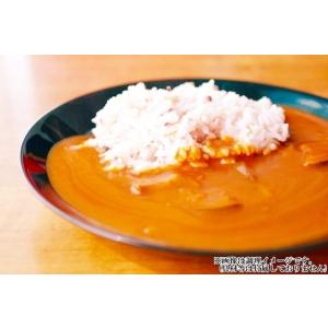 タイ風グリーンカレー & スリランカ風チキンカ...の詳細画像2