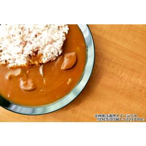 カレー レトルト スリランカ風チキンカレー 会...の詳細画像2