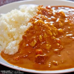 カレー レトルト スリランカ風チキンカレー 会...の詳細画像4