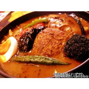 カレー レトルト スリランカ風チキンカレー 会...の詳細画像5