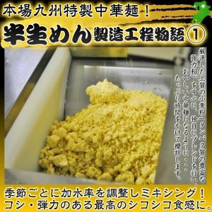 博多とんこつ味 & 中華そば味 ラーメン 九州...の詳細画像3