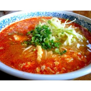 担担ラーメン 2人前+替玉麺2食付 特製 担々...の詳細画像3