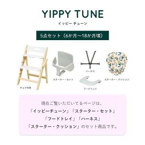 ベビーチェア 5点セット おしゃれ 折りたたみ...の詳細画像1