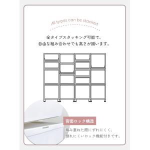 レビュー特典 収納ボックス 収納ケース クロー...の詳細画像3
