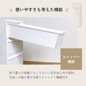 レビュー特典 収納ボックス 収納ケース クロー...の詳細画像4