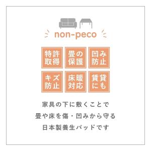 畳 床 じゅうたん フローリング 特許取得済 ...の詳細画像2