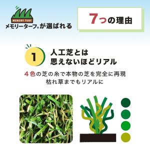 人工芝 ロール 1m×10m 芝丈25mm 芝...の詳細画像3