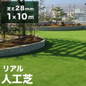 人工芝 ロール 1m×10m 芝丈25mm 芝生マット リアル人工芝 人工芝ロール 人工芝生 庭 屋上 庭 ガーデニング 人口芝 防草 遮光 防水 芝生