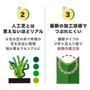 人工芝 ロール 1m×10m 芝丈25mm 芝...の詳細画像3