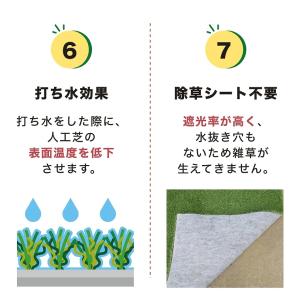 人工芝 ロール 1m×10m 芝丈25mm 芝...の詳細画像5