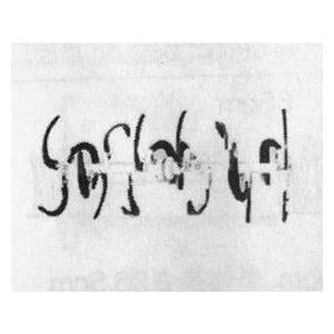 ホンダ耕うん機 アタッチメント こまめF220/F210/F200用 シャークローター(550) 〔...