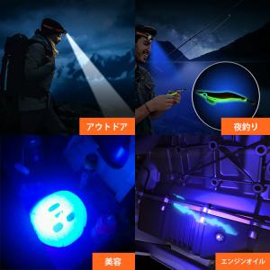 Nicron H35UV UV付ヘッドライト1...の詳細画像1