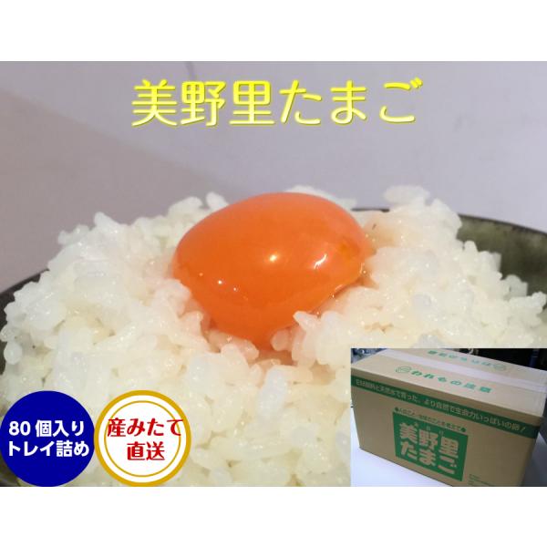 卵 たまご 玉子 （送料無料）美野里 たまご 加賀の朝日 80コ トレイ箱詰め