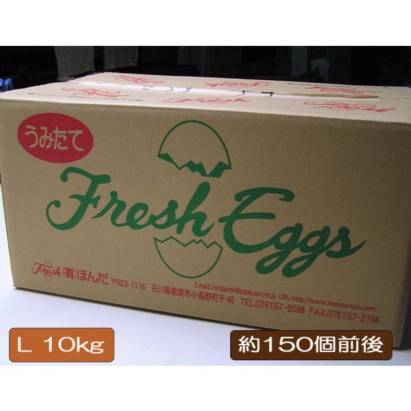 【送料無料】 たまご 【Lサイズ 白玉 10kg 1箱】約150個前後 クール発送 卵 玉子 だし巻...