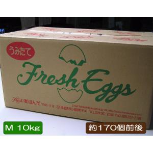 えだまページ♡ 送料無料】 たまご 【MSサイズ 白玉 10kg】 1箱 約180個前後 卵 玉子