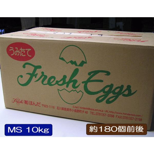 【送料無料】 たまご 【MSサイズ 白玉 10kg】 1箱 約180個前後 クール発送 卵 玉子 だ...