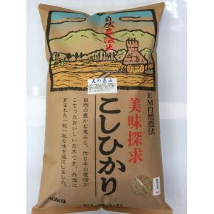 コシヒカリ お米 令和7年産 自然農法米こしひかり「天の恵み」白米