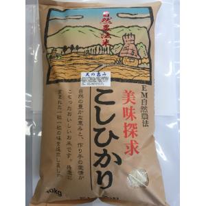コシヒカリ お米 令和7年産 自然農法米こしひかり「天の恵み」白米