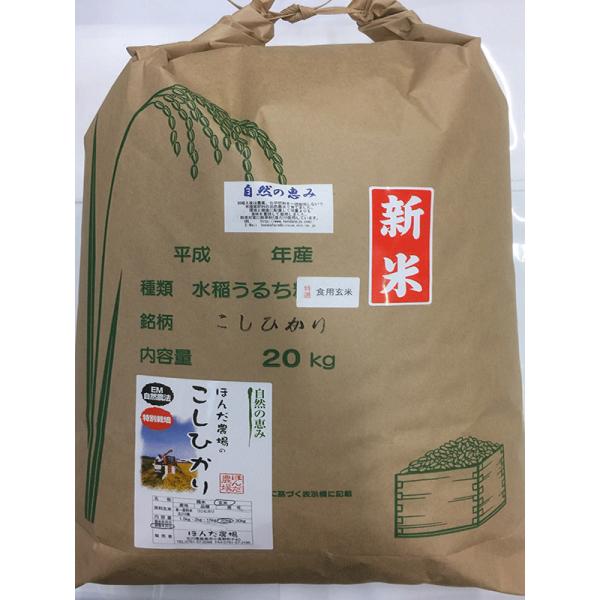 令和7年産 新米 自然農法 特別栽培米 こしひかり 食用 玄米 20kg 「自然の恵み」  加賀百万...