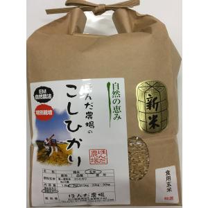 食品 新米「天日干し」コシヒカリ 籾 27Kg 精米約20Kg相当 その2