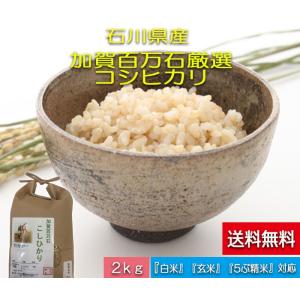 令和5年産 新米 加賀百万石 お米 こしひかり 厳選コシヒカリ 石川県産   食用 玄米 2Kg｜hondanojo