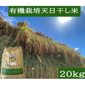 コシヒカリ お米 令和7年産 自然農法米こしひかり「天の恵み」白米