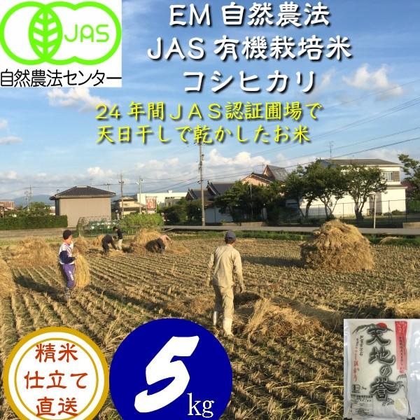 令和5年産 無農薬 有機米 天日干し こしひかり 5kg  天地の誉  EM 農法 JAS  オーガ...