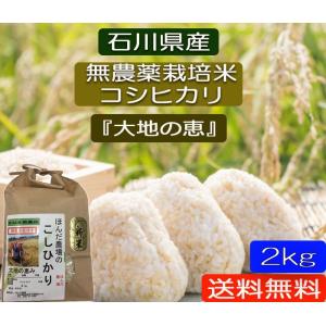 コシヒカリ 令和7年産 無農薬栽培米 こしひかり 白米 10kg お米 自然
